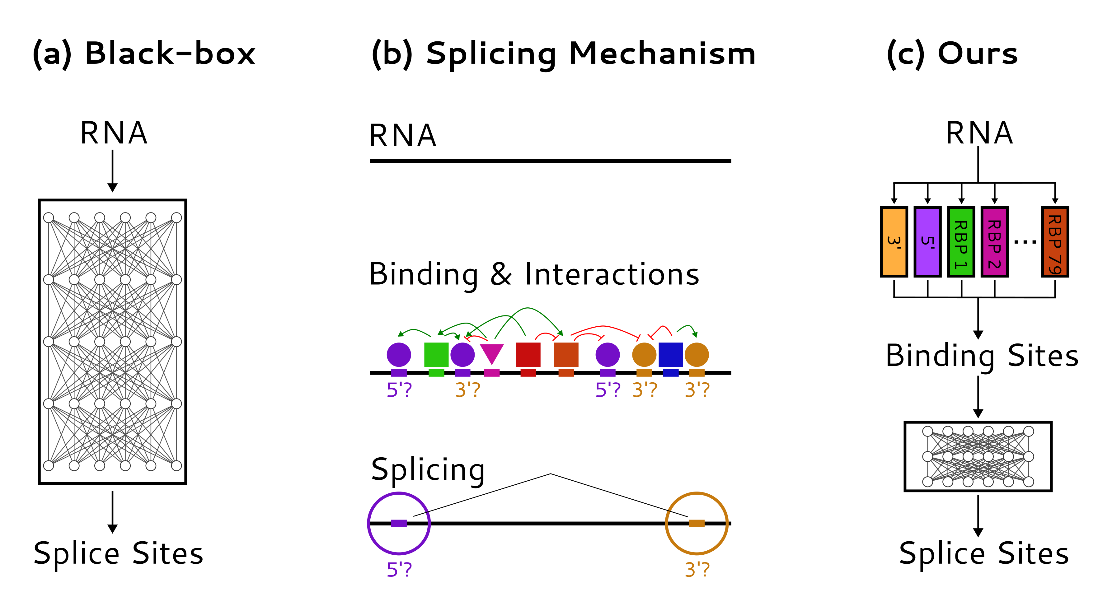Sparse Adjusted Motif figure