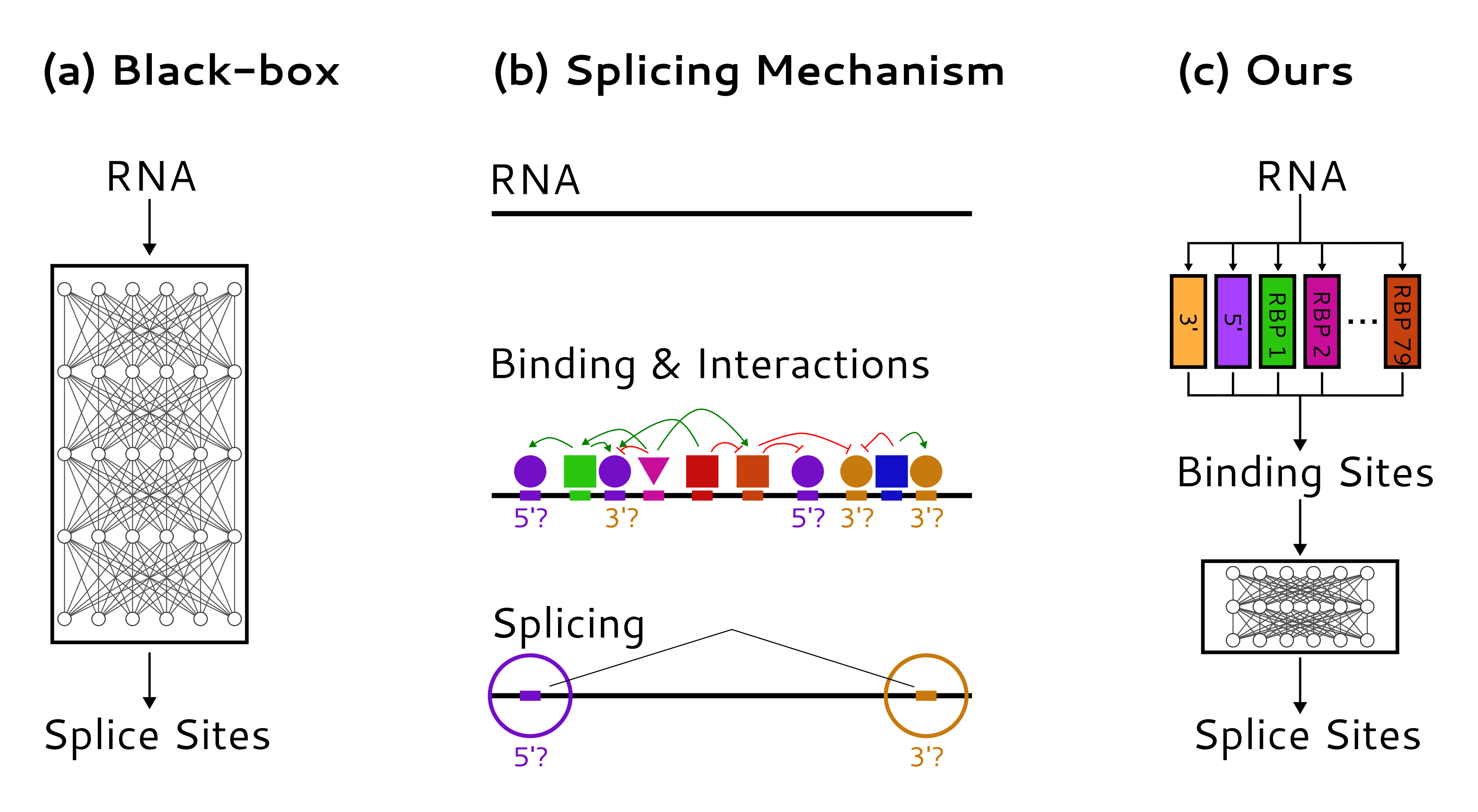 Sparse Adjusted Motif figure